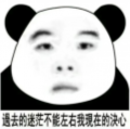 过去的迷茫不能左右我现在的决心